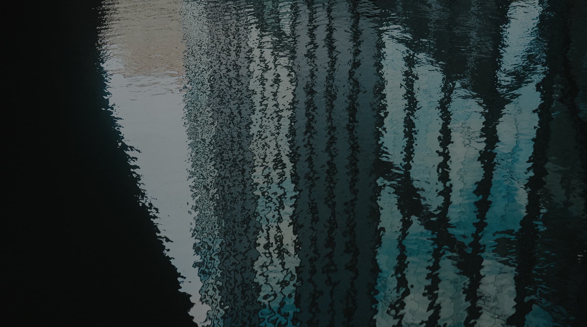 Meet Tenity Portfolio Companies