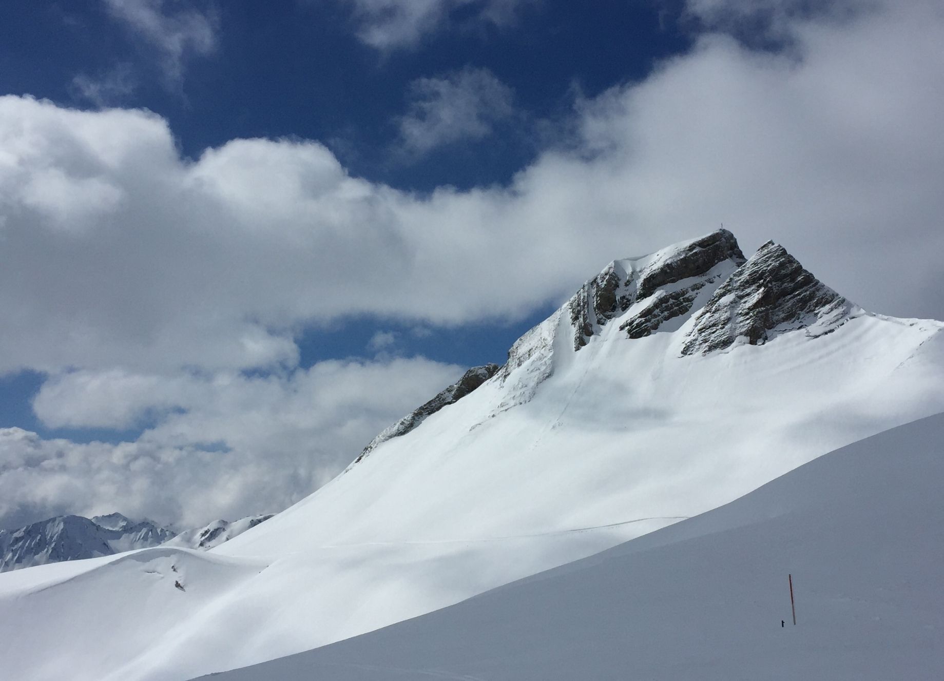 Life sciences startup founders — market access program Switzerland